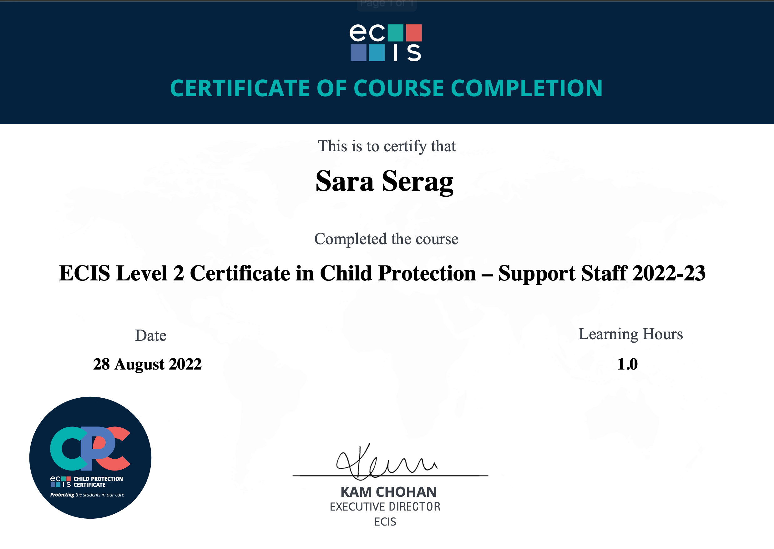 ECIS Child Protection